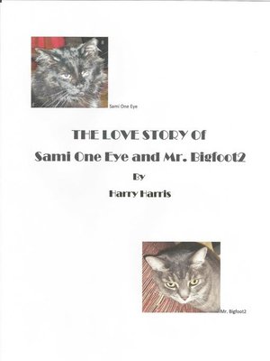 cover image of The Love Story of Sami One Eye and Mr. Bigfoot2